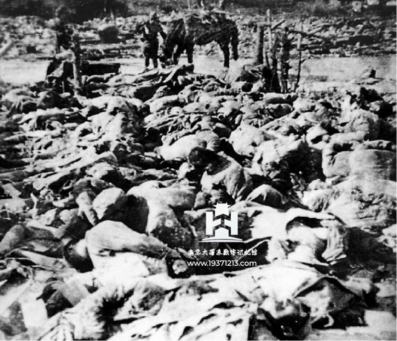 南京大屠杀真实图料集（持续更新中） 图6