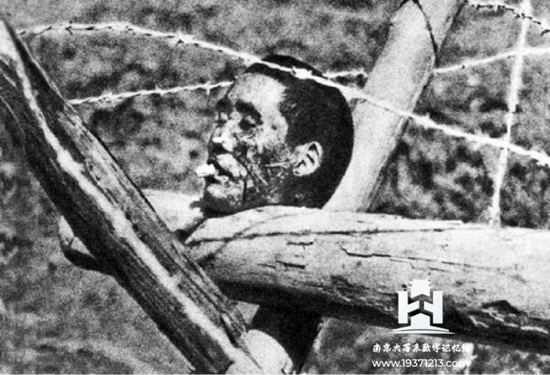 南京大屠杀真实图料集（持续更新中） 图9