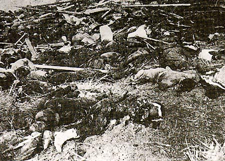 图文：南京市民惨遭日军杀害并被焚尸